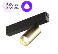 Светильник трековый Denkirs Smart DK8010-BG