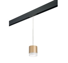 Трековый светильник Rullo для трека PRO Lightstar Rullo PRORP349080_LS