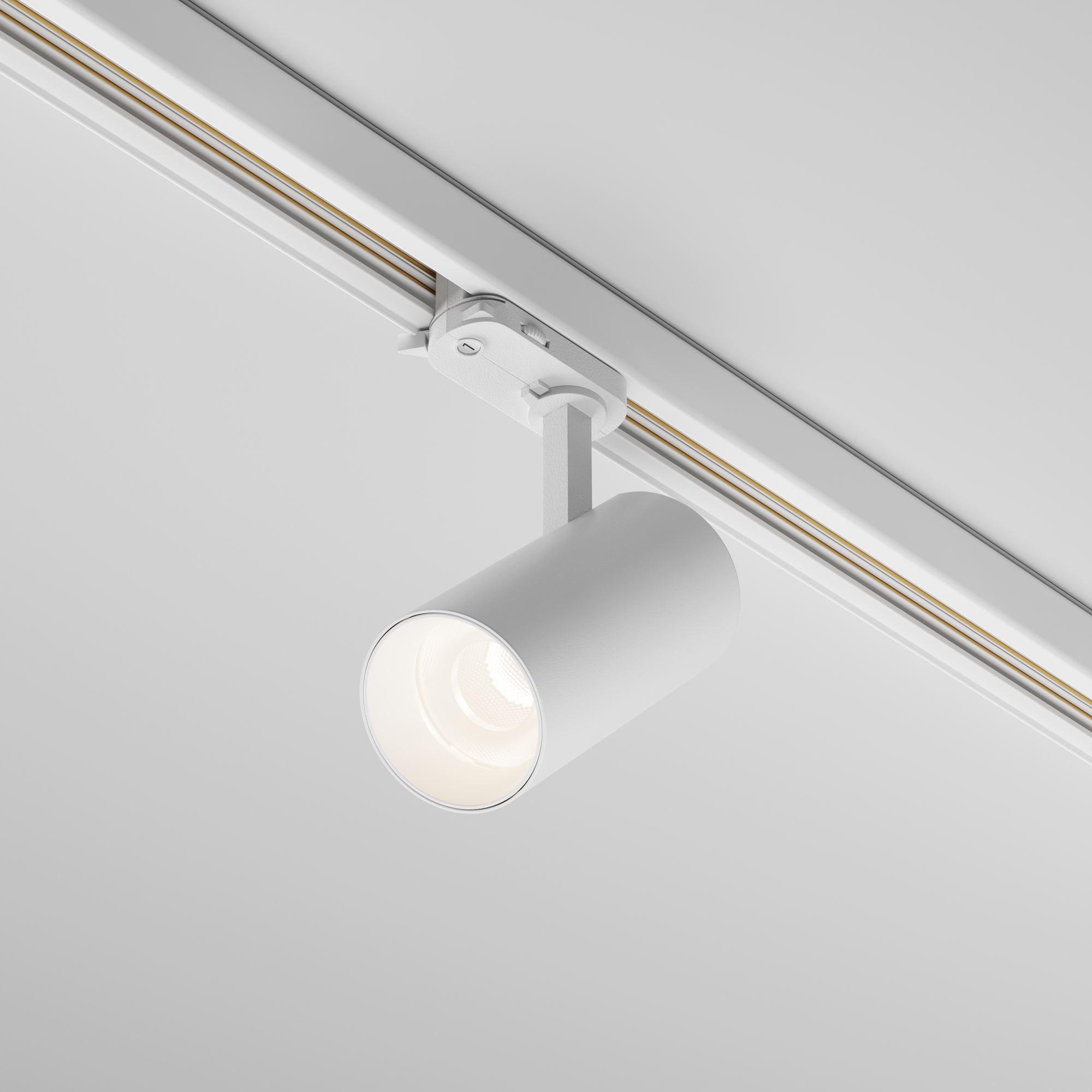 Трековый светильник трехфазный TRINITY Maytoni Focus Led TR197-3-12WCCT-M-W_MY