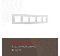 Рамка из закаленного стекла на 5 постов Arte Milano 503.14-5.silver