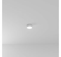 Потолочный светильник Arte Lamp FADO A7312PL-1WH