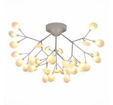 Потолочная люстра Evoluce AVOLA SLE250102-36