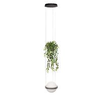 Подвесной светильник Loft IT Jardin 10121/1P Dark grey_LF