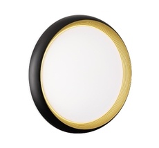 Настенно-потолочный светильник Sonex TOFIQ BLACK 7651/DL_Sonex