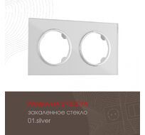 Рамка из закаленного стекла на 2 поста Arte Milano 502.01-2.silver