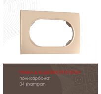 Рамка из поликарбоната для двойной розетки Arte Milano 502.04-double.shampan