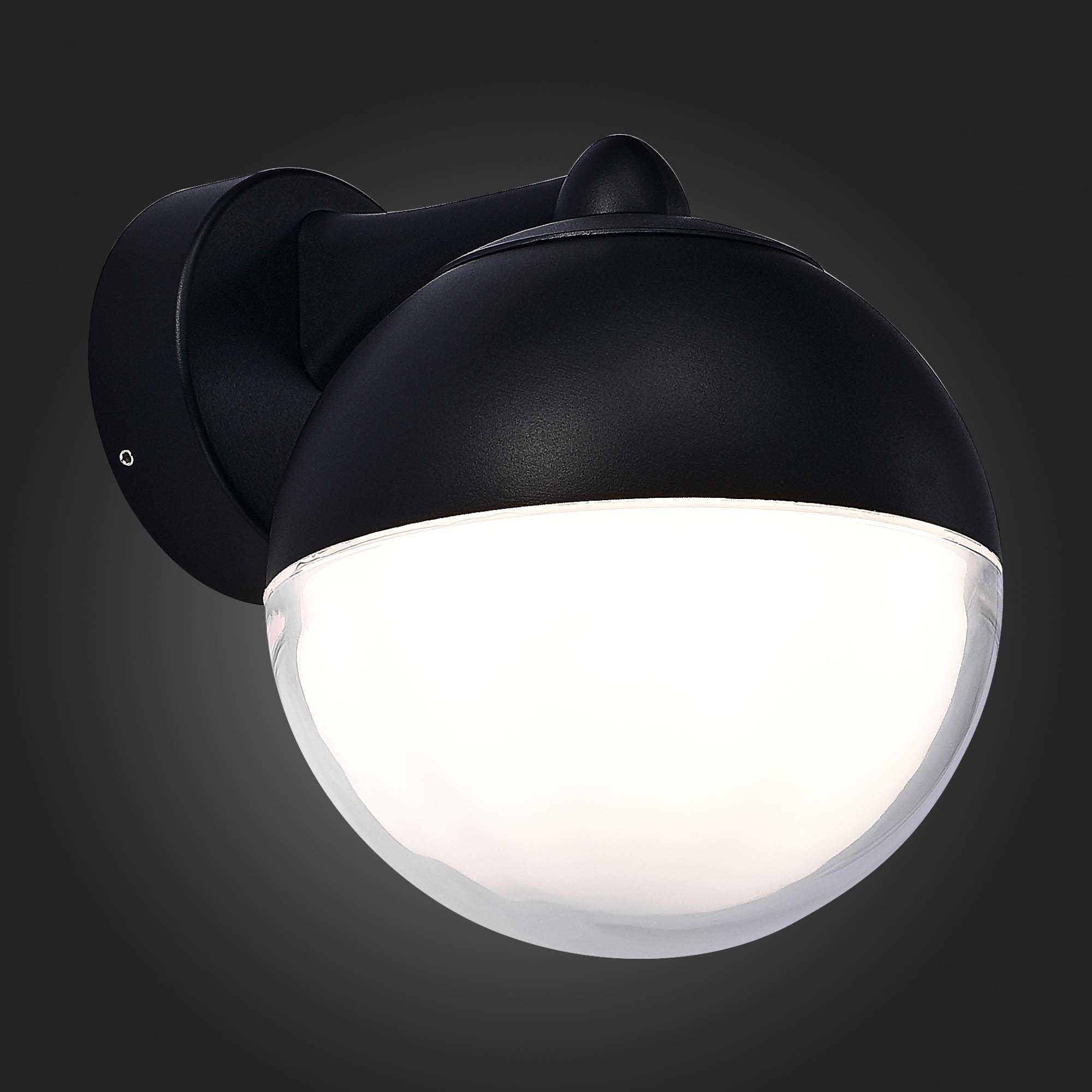 Светильник уличный настенный ST Luce OMBRA Modern SL9000.401.01
