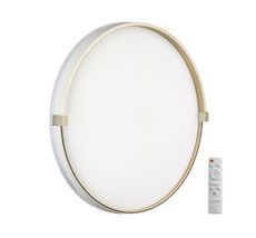 Настенно-потолочный светильник Sonex OLIDI WHITE 7646/EL_Sonex