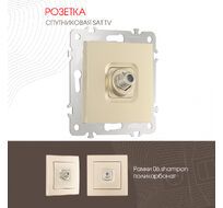 Розетка SAT TV Arte Milano 206.42-1.shampan