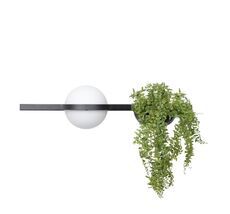 Настенный светильник Loft IT Jardin 10121W/A_LF