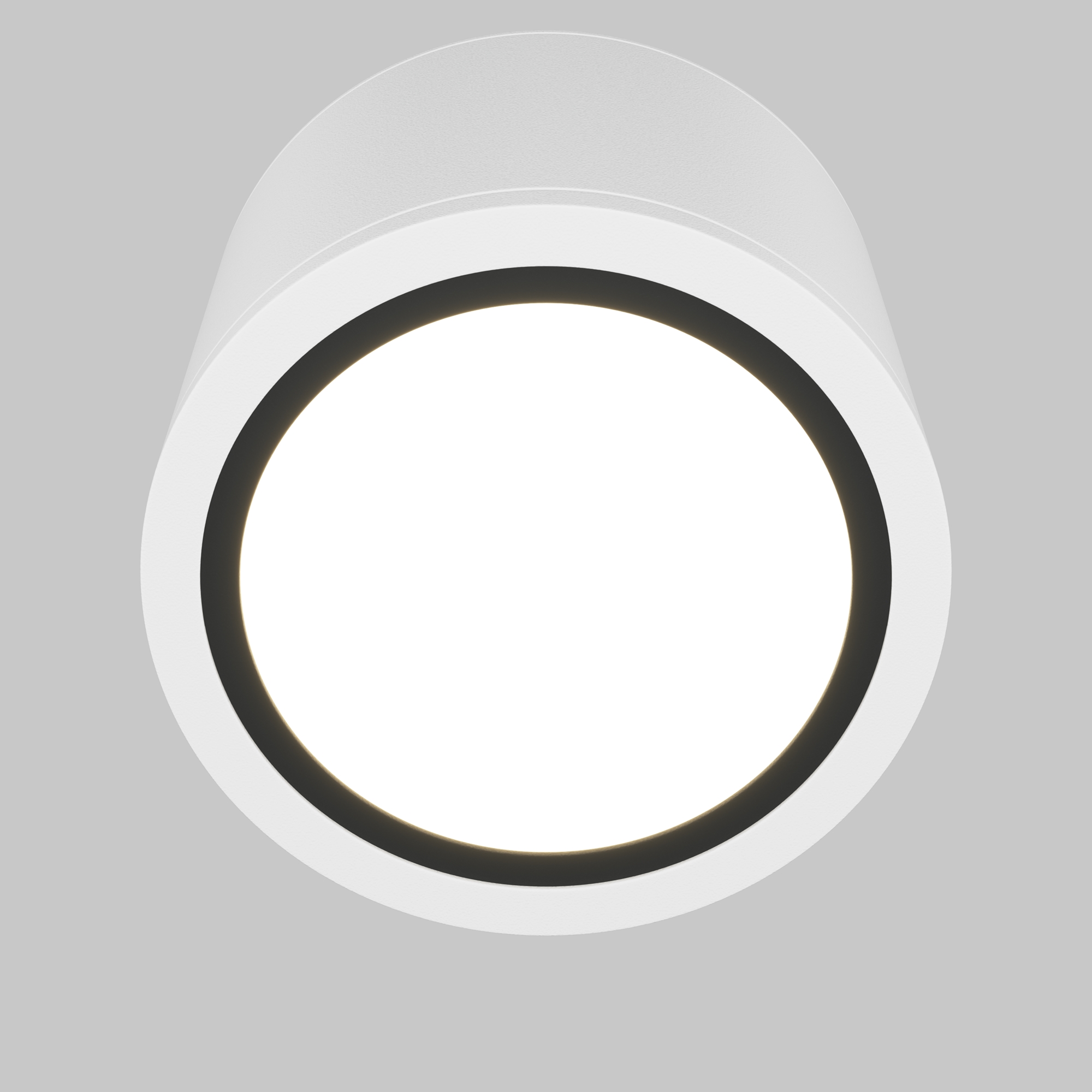 Накладной светильник Maytoni Rendo C095CL-GX53-W_MY