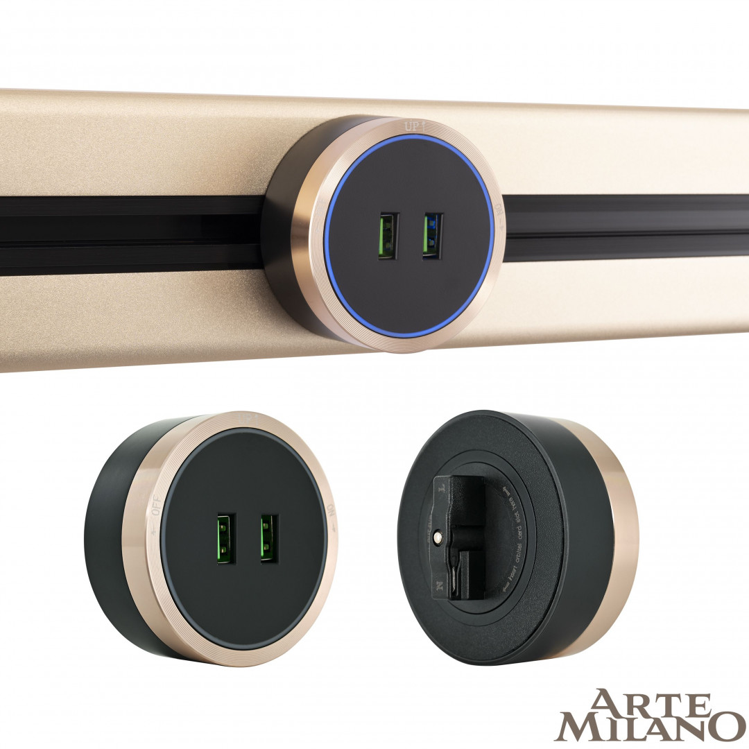 Трековая розетка Arte Milano track-sockets 380066TS LED/USBx2 Gold
