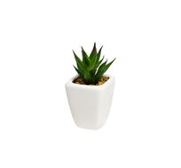 Суккулент в горшочке Garda Decor 8J-1735380