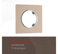 Рамка из алюминия на 1 пост Arte Milano 502.11-1.shampan