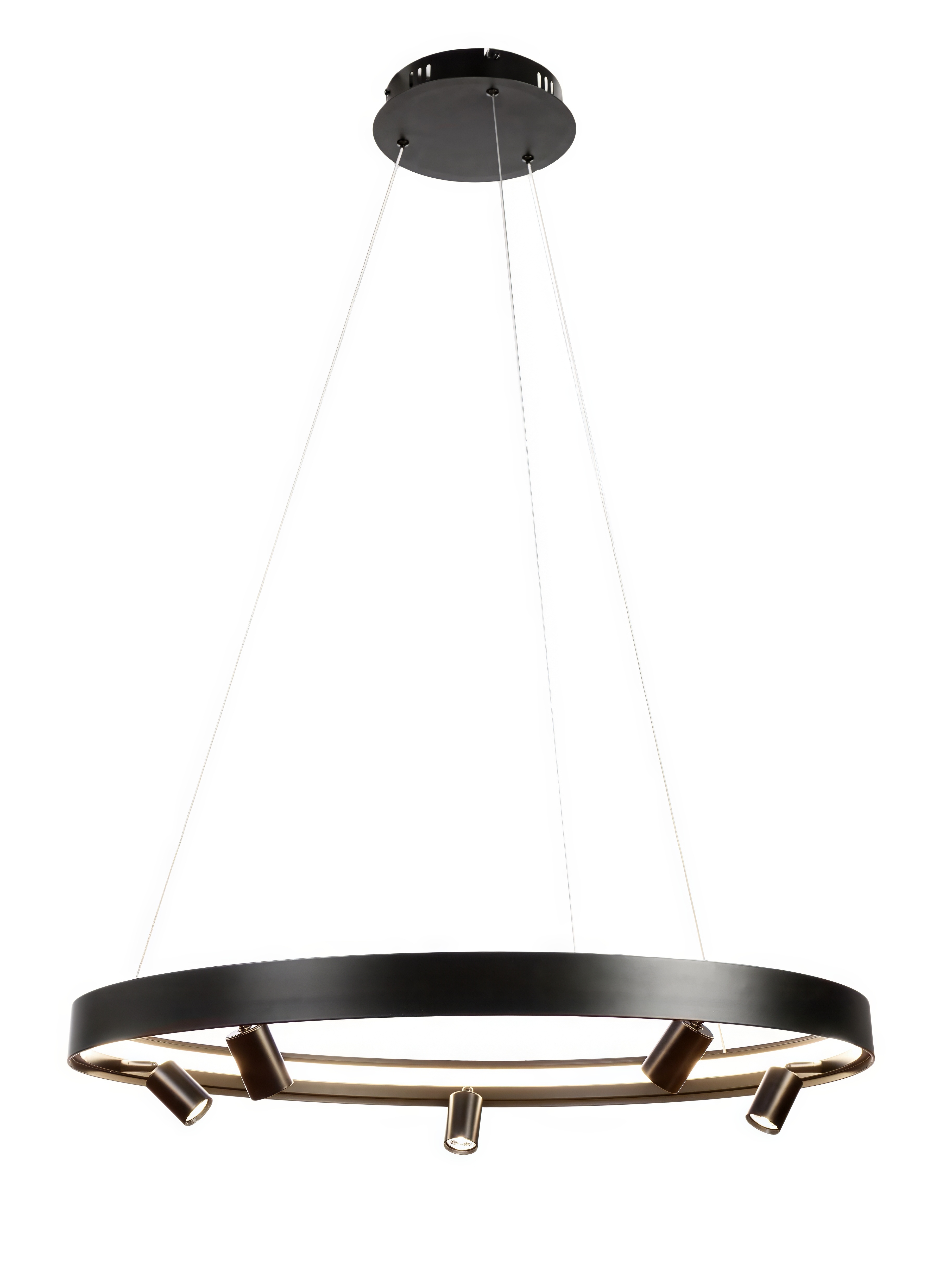 Подвесная люстра MyFar James MR2201-1PL