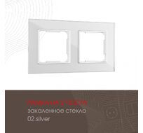 Рамка из закаленного стекла на 2 поста Arte Milano 503.02-2.silver