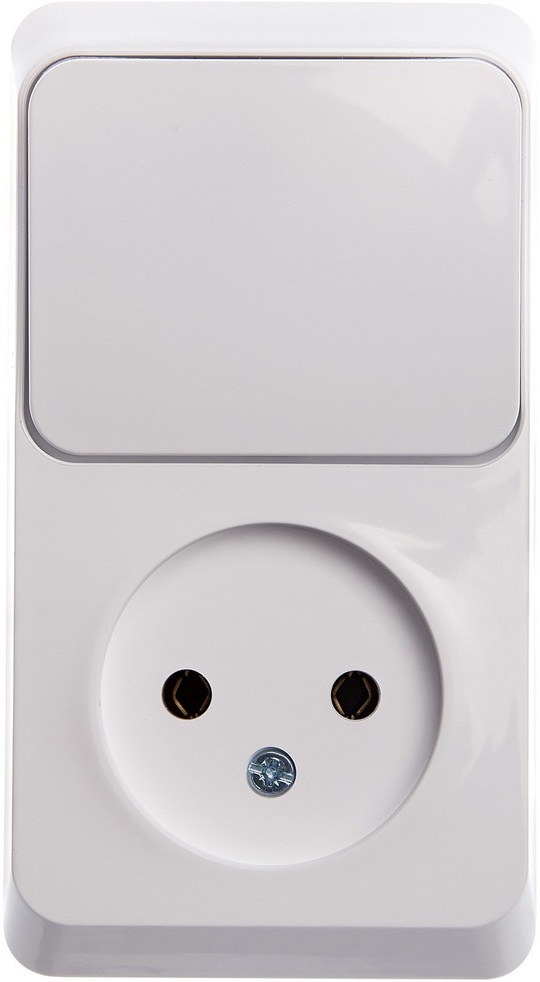 Розетка накладная без заземления с одноклавишным выключателем (белый) Systeme Electric BPA16-204B