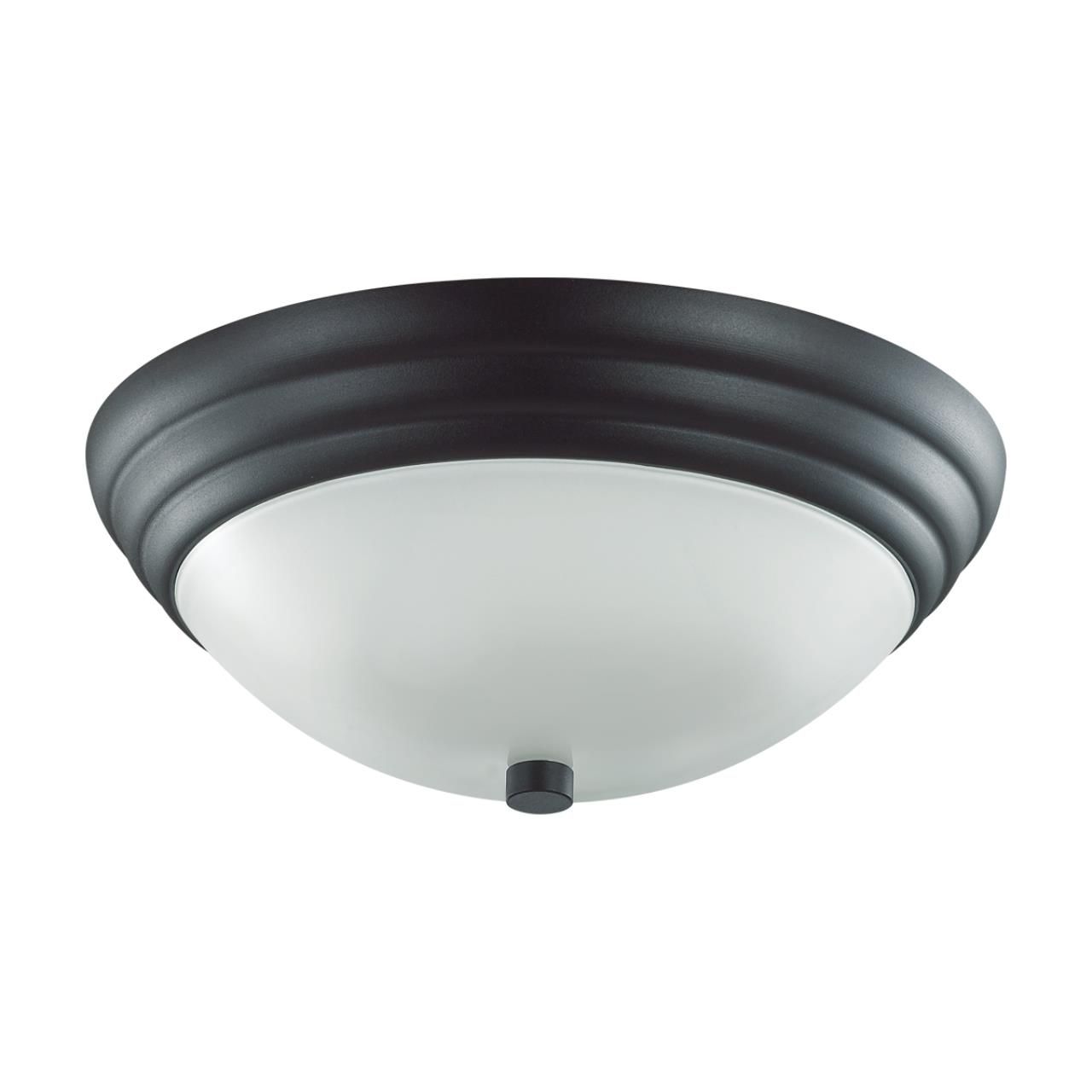 

Настенно-потолочные светильники Lumion, 5263/2C