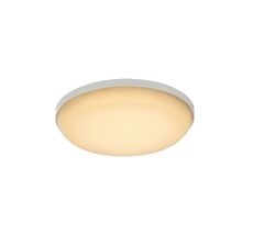 Уличный потолочный светильник Caio 32105-12_GL