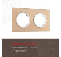 Рамка из закаленного стекла на 2 поста Arte Milano 502.01-2.shampan