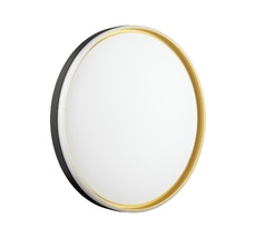 Настенно-потолочный светильник SONEX SAVI 7619/ELN_Sonex