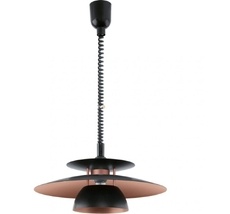 Подвесной светильник Eglo Brenda 31666