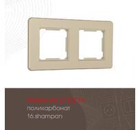 Рамка из поликарбоната на 2 поста Arte Milano 502.16-2.shampan