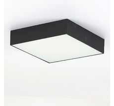 Потолочный светильник CitiLux Тао CL712X182N