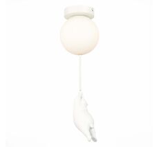 Потолочный светильник Evoluce MODENA SLE115402-01