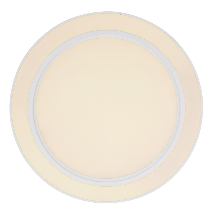 Потолочный светильник Globo Dahla 48549-45_GL