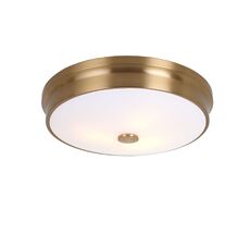 Потолочный светильник Favourite Pannikin 2375-3C