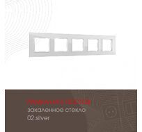 Рамка из закаленного стекла на 5 постов Arte Milano 503.02-5.silver