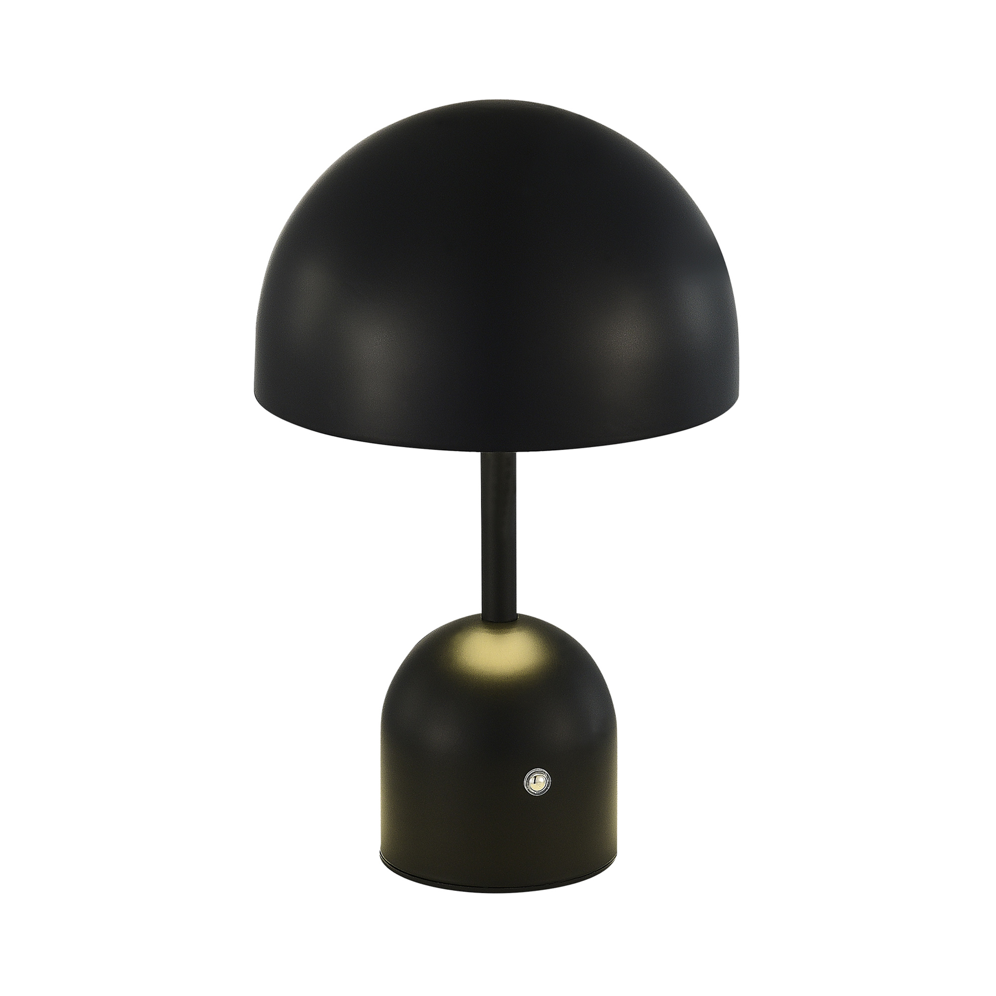 Настольная лампа EVOLUCE ECLAT SLE1806-404-01