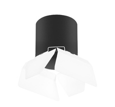 Накладной светильник LightStar Rullo R3487486_LS