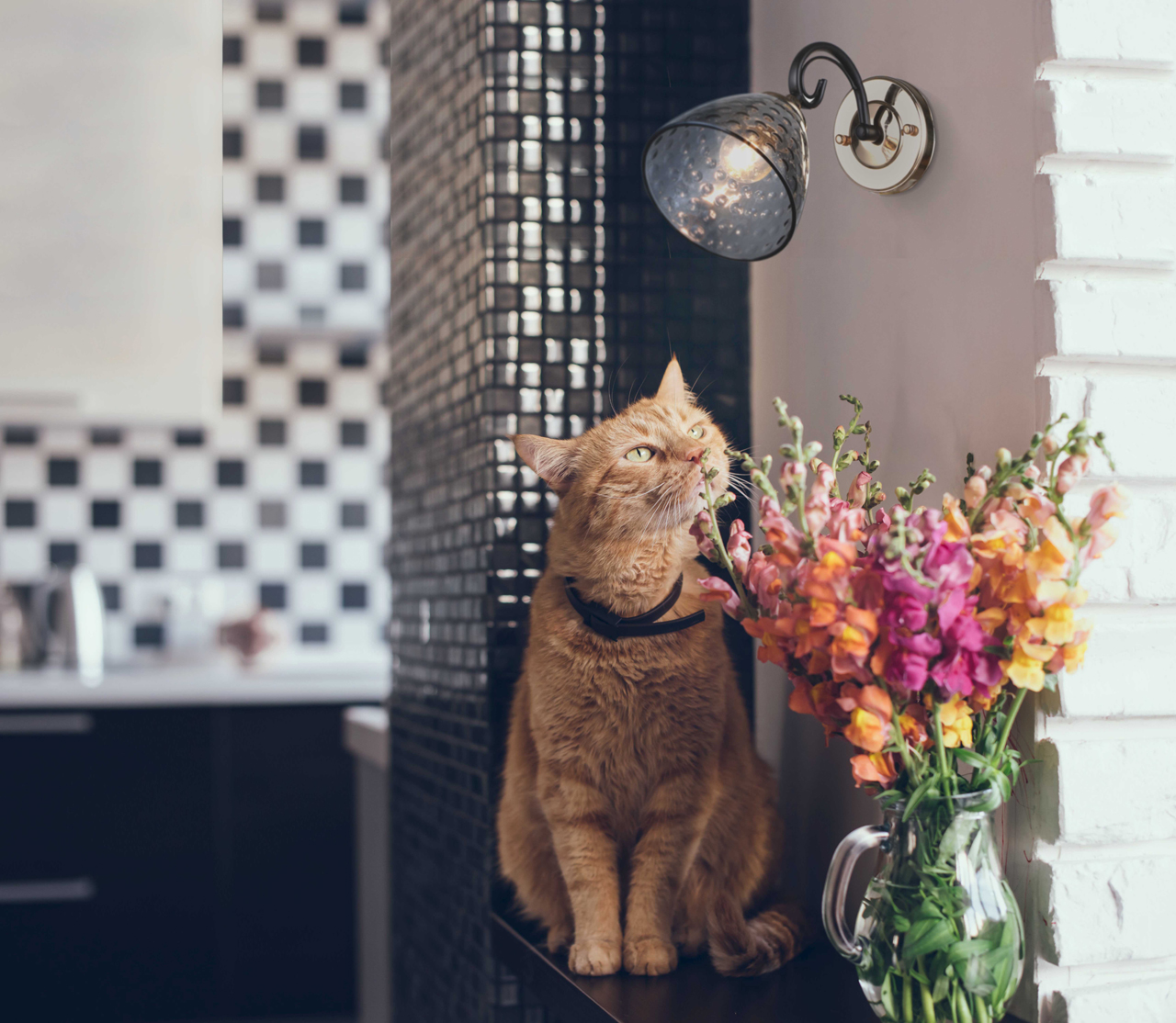 Бра De Markt Клэр 463021901_MW