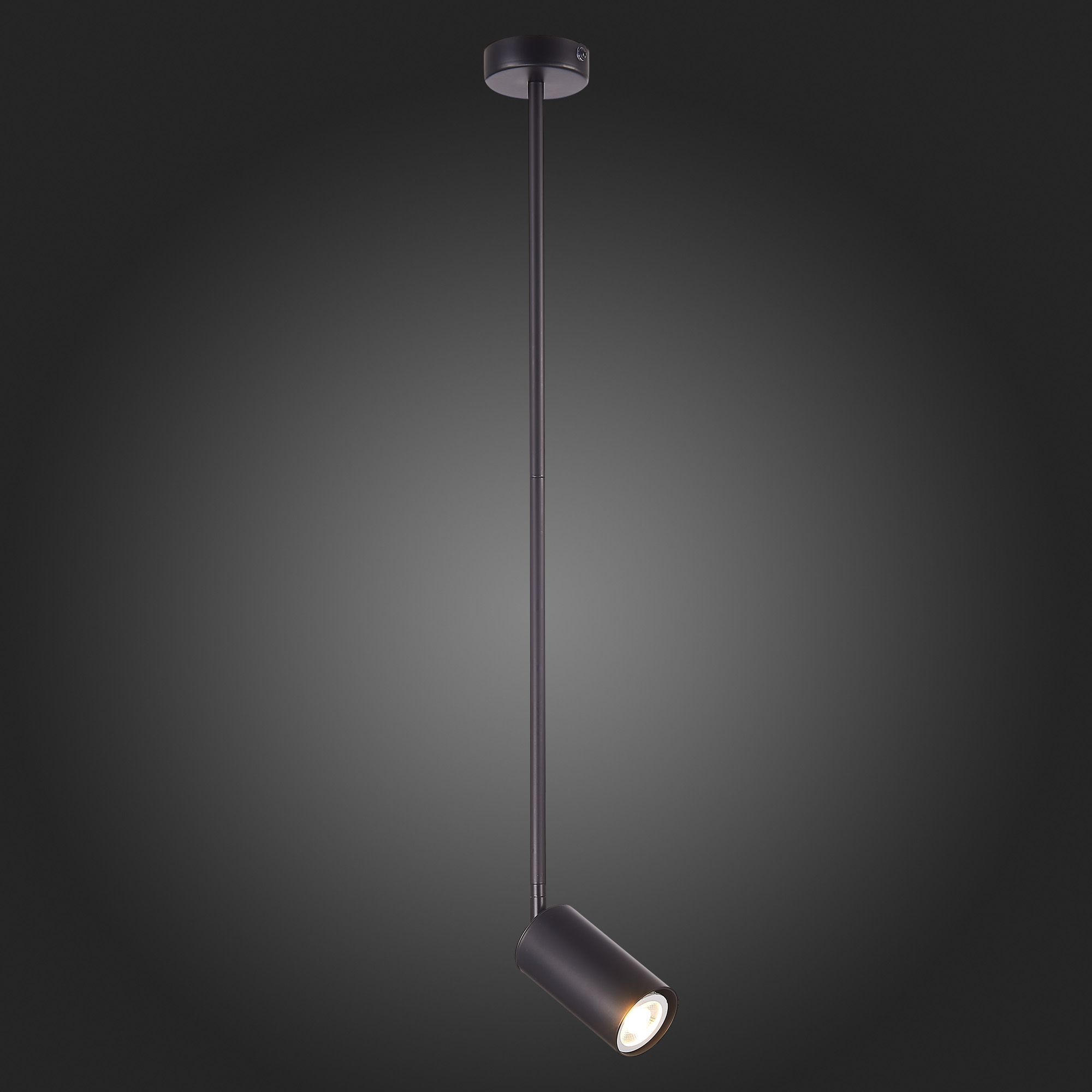 Подвесной светильник ST Luce SORMANO SL1206.403.01