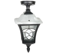 Потолочный светильник уличный IP44 Oasis Light 91805SA Bl_OL