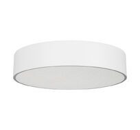Потолочный накладной светильник Arlight Tor Pill 022107(3)_ARL