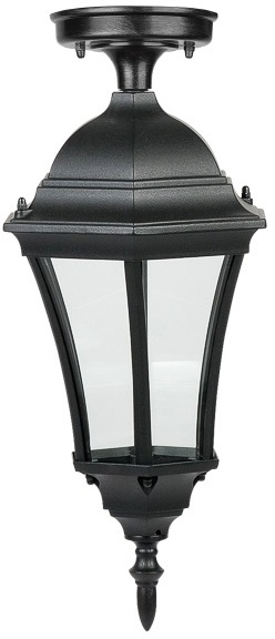 Потолочный светильник уличный IP44 Oasis Light 91305SA Bl_OL