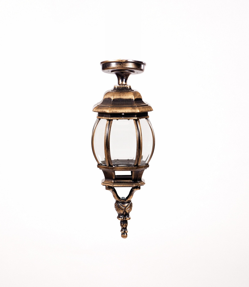 Потолочный светильник уличный IP44 Oasis Light 83405SA Gb_OL