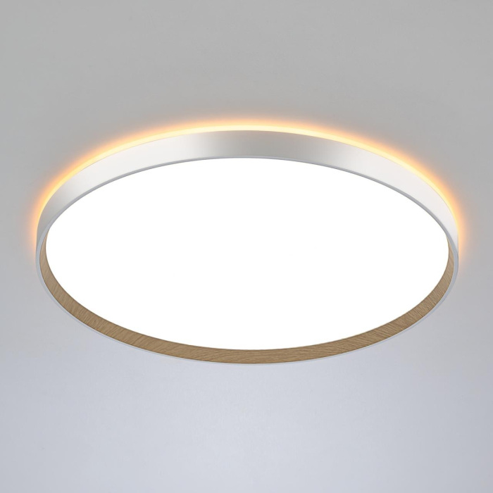 Потолочный светильник Citilux Etalon CL750500R