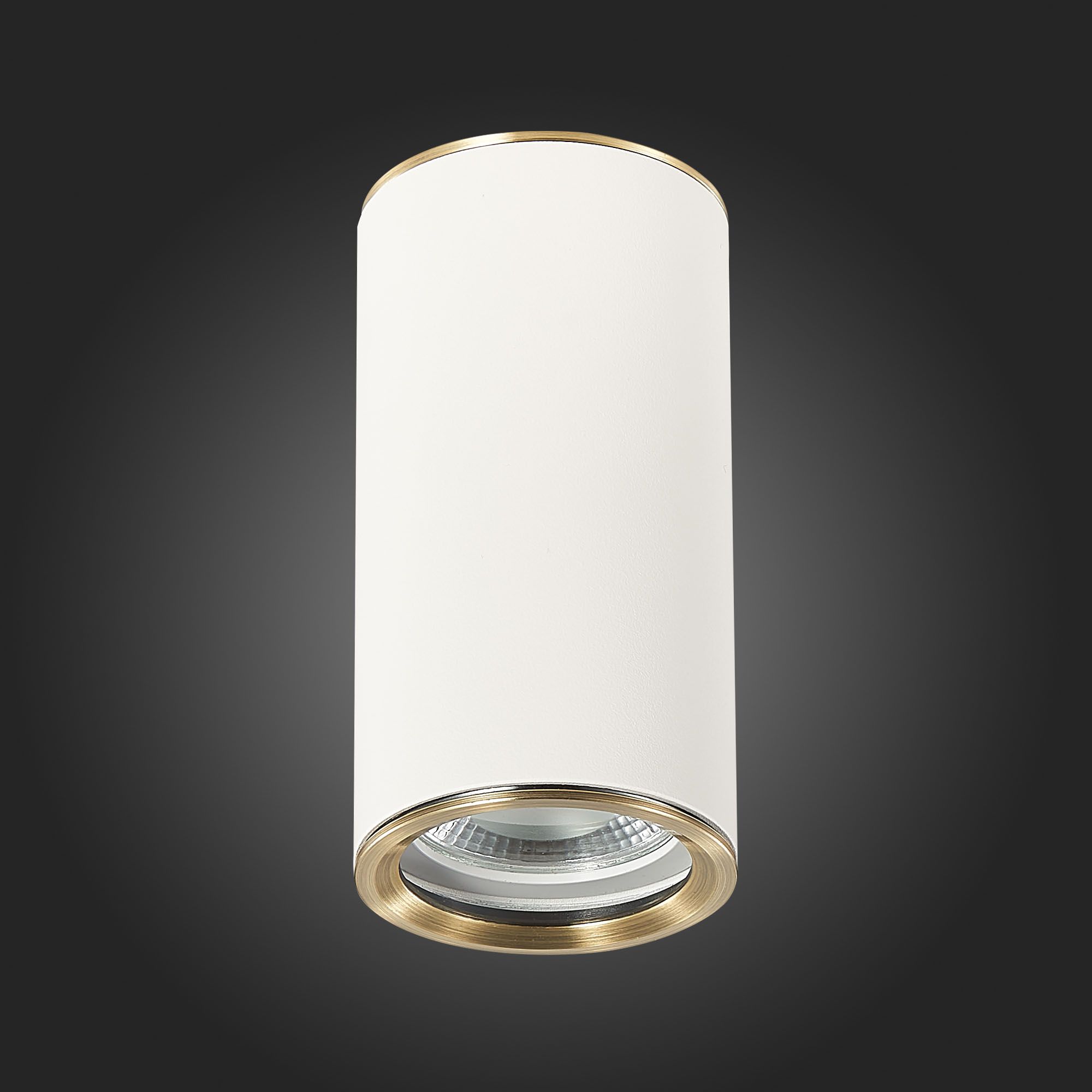 Потолочный светильник ST Luce CHOMUS ST111.537.01