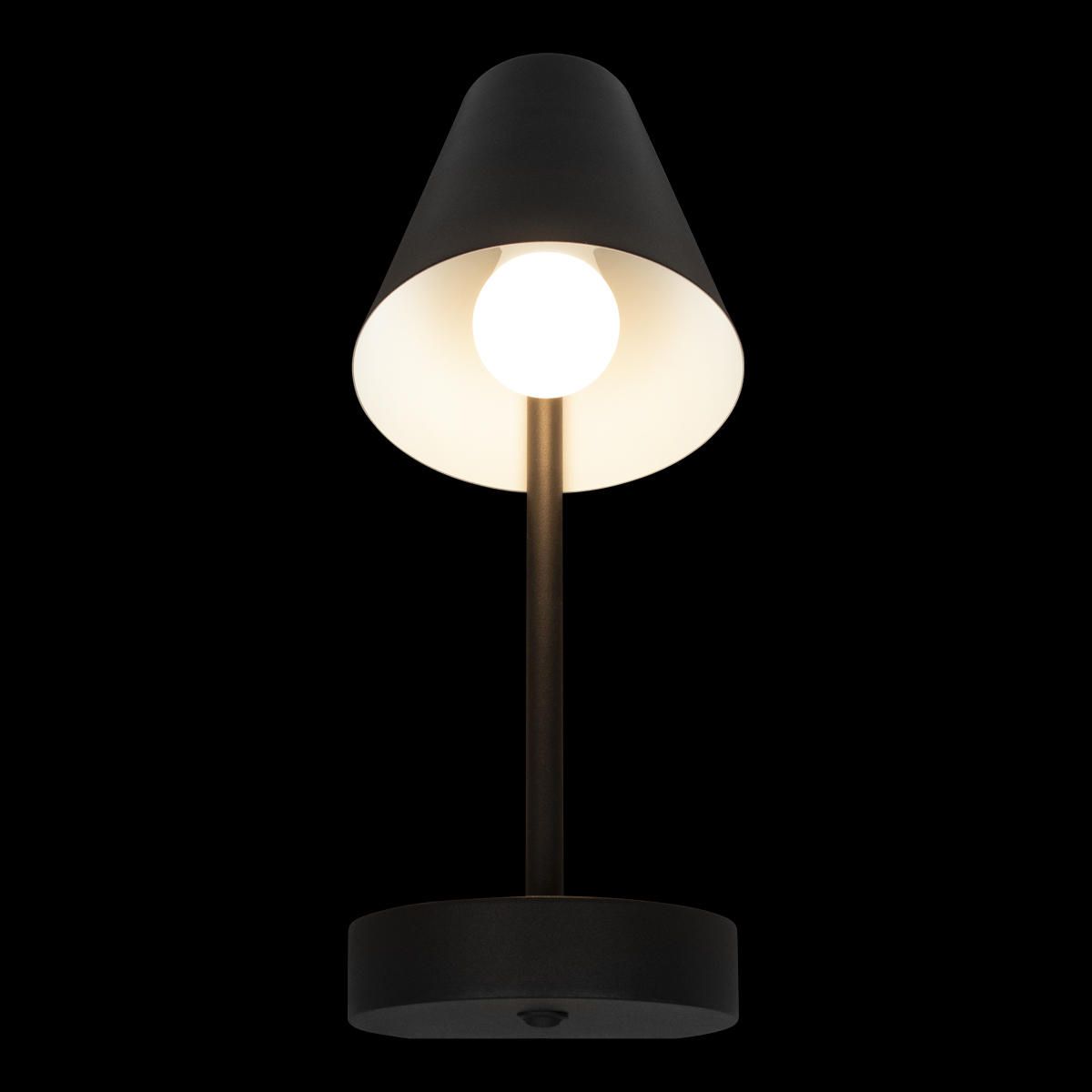 Настенный светильник Loft IT Shelf 10216/1W Black_LF
