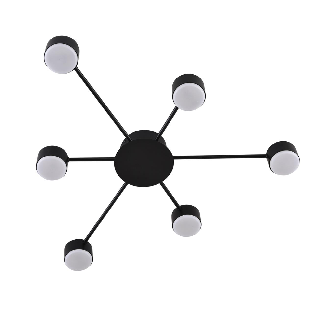 Потолочная люстра LUMION TORINA 8344/6C