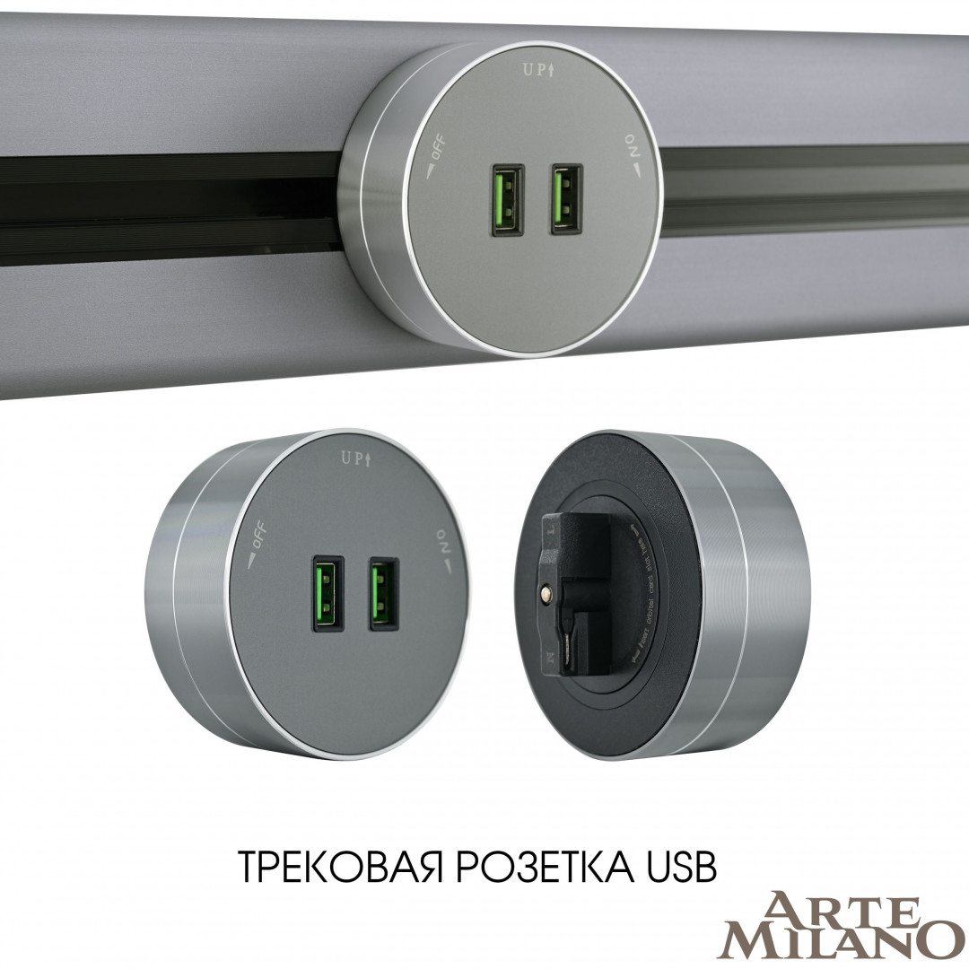 Трековая розетка Arte Milano track-sockets 380011TS/USBx2 Grey