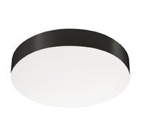 Уличный потолочный пылевлагозащищенный светильник Arlight SP-FLOWER 049801_ARL