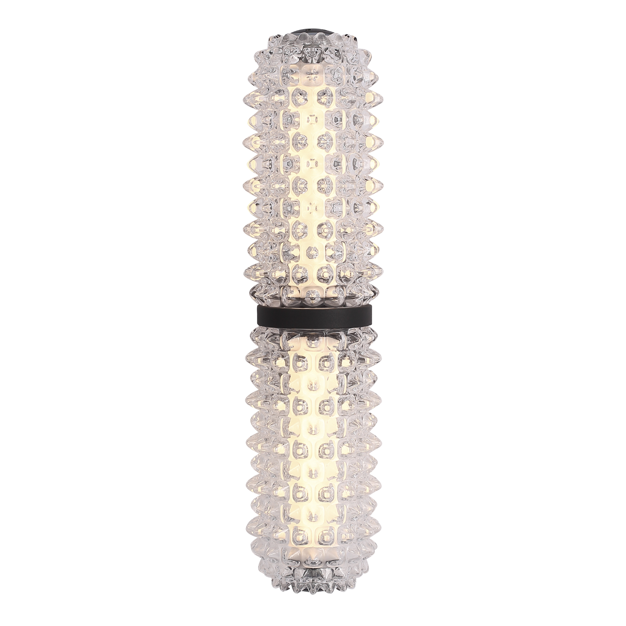 Настенный светильник ST Luce SAGUARO SL6144.401.01