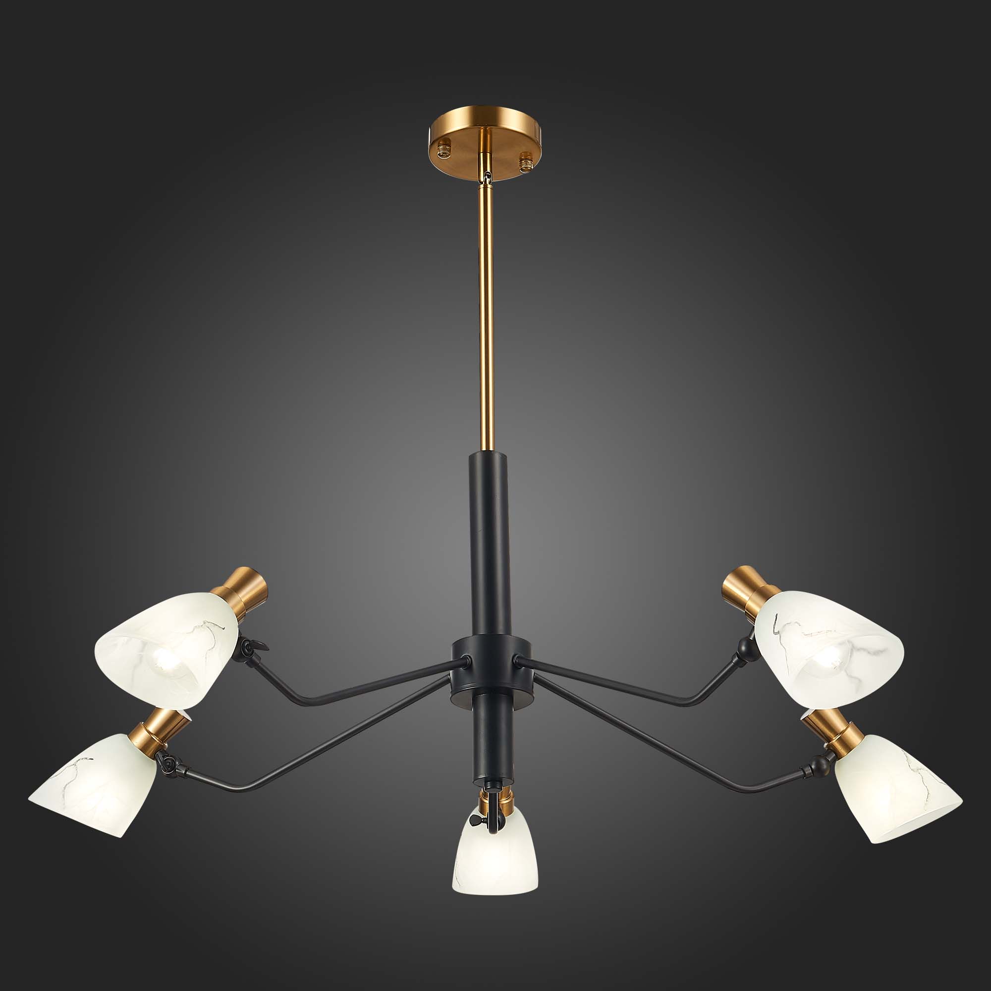 Подвесная люстра Evoluce LITA SLE205403-05