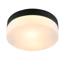 Потолочный светильник ArteLamp AQUA-TABLET A6047PL-2BK