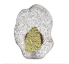 Настенный светильник ODEON LIGHT EXCLUSIVE CORALLA 5460/12WLA